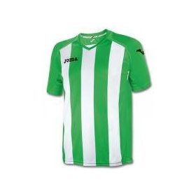 Joma 1202.98.016 Yeşil Pisa Erkek Futbol Forması