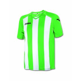 Joma 1202.98.016 Yeşil Pisa Erkek Futbol Forması