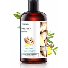 Jomtam Zencefilli Yağ Dengeleyici İpeksi 400 ml Şampuan