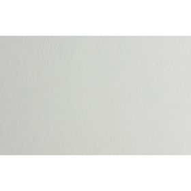 Jotun Bare 1391 2 lt Fenomastic Güzel Evim Serisi Mineral Boya