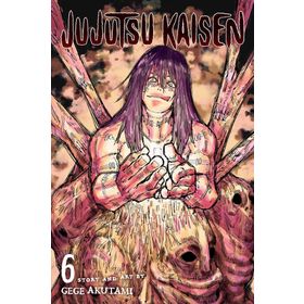 Jujutsu Kaisen Vol.6