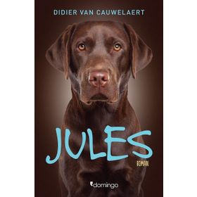 Jules Verne Öyküler 3 - Jules Verne