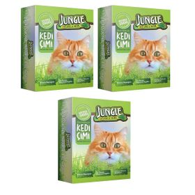 Jungle 3 Adet Kutulu Kedi Çimi