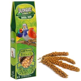 Jungle 5li Doğal Dal Darı