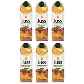 Juss 1 lt Karışık Meyve Nektarı