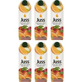 Juss 1 lt Karışık Meyve Nektarı