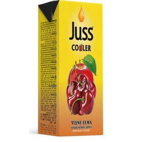 Juss 200 ml Elma ve Vişne Aromalı İçecek