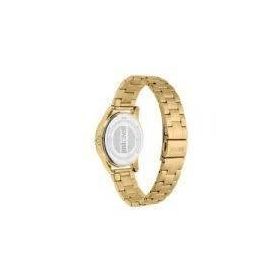 Just Cavalli JC1L100M0085 Kadın Kol Saati