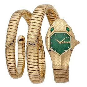 Just Cavalli JC1L168M0045 Kadın Kol Saati