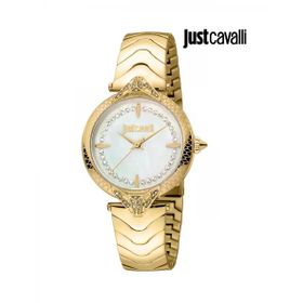 Just Cavalli JC1L238M0065 Kadın Kol Saati
