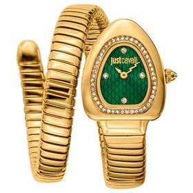 Just Cavalli JC1L249M0035 Kadın Kol Saati