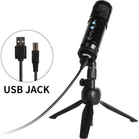 Jwin Rms-14 Condenser Stüdyo Ses Kayıt USB Girişli Mikrofon Seti
