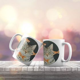 K-223 Balık İçinde Huysuz Kedi Baskılı Hediyelik Kupa Bardak