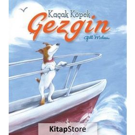 Kaçak Köpek Gezgin - Gill Mclean