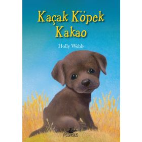Kaçak Köpek Kakao - Holly Webb