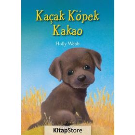 Kaçak Köpek Kakao - Holly Webb