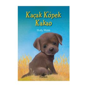 Kaçak Köpek Kakao - Holly Webb