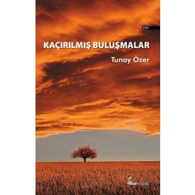 Kaçırılmış Buluşmalar - Tunay Özer