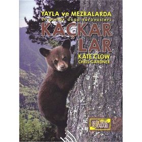 Kaçkarlar - Kate Clow Chris Gardner