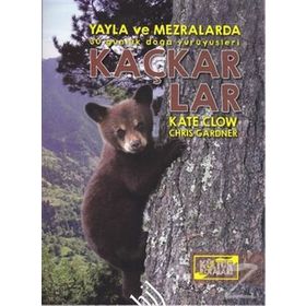 Kaçkarlar - Kate Clow Chris Gardner