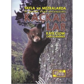 Kaçkarlar - Kate Clow Chris Gardner