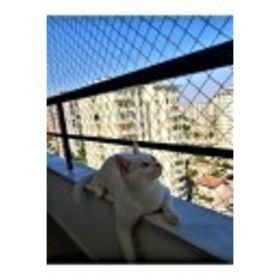 Kadir Tarım 1 mm 2.50 x 2 Metre Kedi Koruma Balkon Güvenlik Filesi