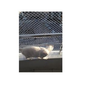 Kadir Tarım 1 mm 2 x 9 Metre Kedi Koruma Balkon Güvenlik Filesi