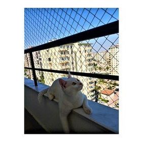 Kadir Tarım 2 mm 2.50 X 30 Metre Kedi Güvenlik Balkon Filesi