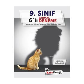 Kafa Dengi Yayınları 9. Sınıf 6 Sarmal Deneme