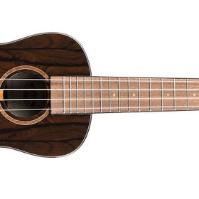 Kala KA-ZCT-C Ziricote Concert Ukulele