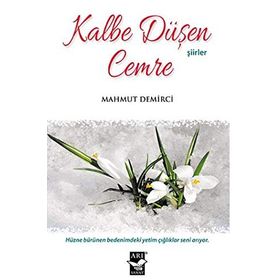 Kalbe Düşen Cemre - Mahmut Demirci
