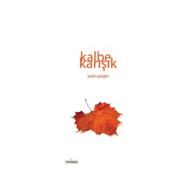 Kalbe Karışık - Yasin Pişgin