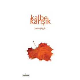 Kalbe Karışık - Yasin Pişgin