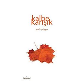 Kalbe Karışık - Yasin Pişgin