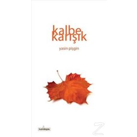 Kalbe Karışık - Yasin Pişgin