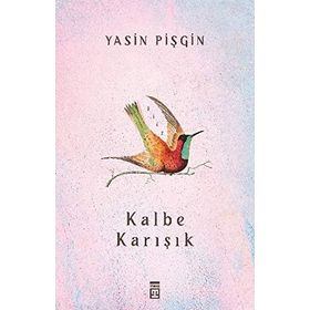 Kalbe Karışık - Yasin Pişgin