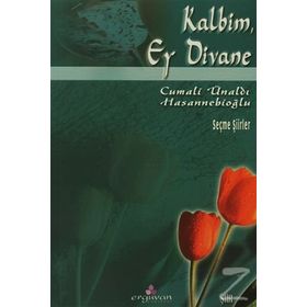 KALBIM EY DIVANE - CUMALI ÜNALDI HASANNEBİOĞLU