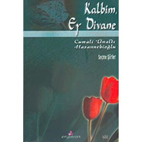 KALBIM EY DIVANE - CUMALI ÜNALDI HASANNEBİOĞLU