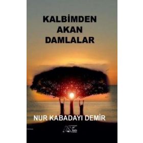 Kalbimden Akan Damlalar - Nur Kabadayı Demir