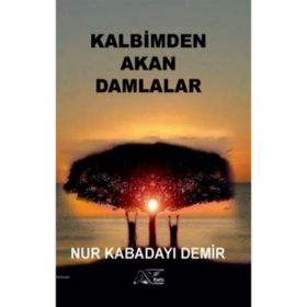 Kalbimden Akan Damlalar - Nur Kabadayı Demir