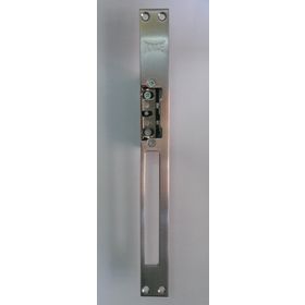 Kale Mandal Ayarlı Elektrikli Kapı Karşılığı