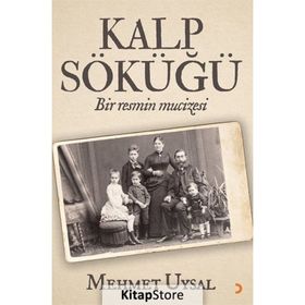 Kalp Söküğü - Mehmet Uysal - Cinius Yayınları