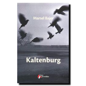 Kaltenburg - Marcel Beyer