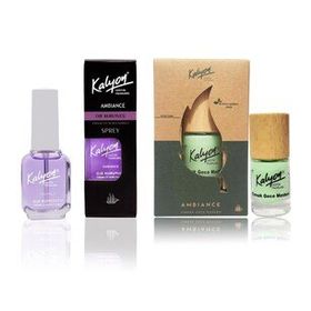 Kalyon Oje Kurutucu Sprey + Kalyon 11 ml Bitkisel Tırnak Gece Maskesi