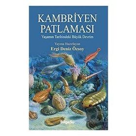Kambriyen Patlaması - Ergi Deniz Özsoy