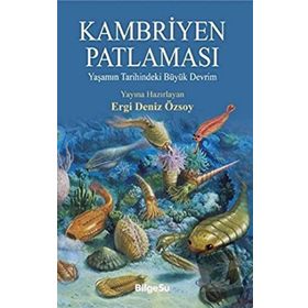 Kambriyen Patlaması - Ergi Deniz Özsoy