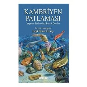 Kambriyen Patlaması - Ergi Deniz Özsoy