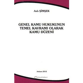 Kamu Hukukunun Temelleri - Martin Loughlin