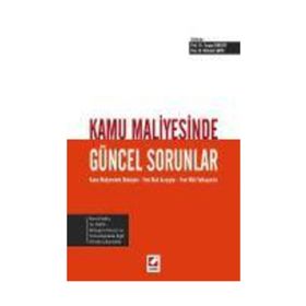 Kamu Maliyesinde Güncel Sorunlar - Mehmet Şahin Turgay Berksoy