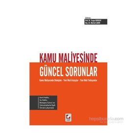 Kamu Maliyesinde Güncel Sorunlar - Mehmet Şahin Turgay Berksoy